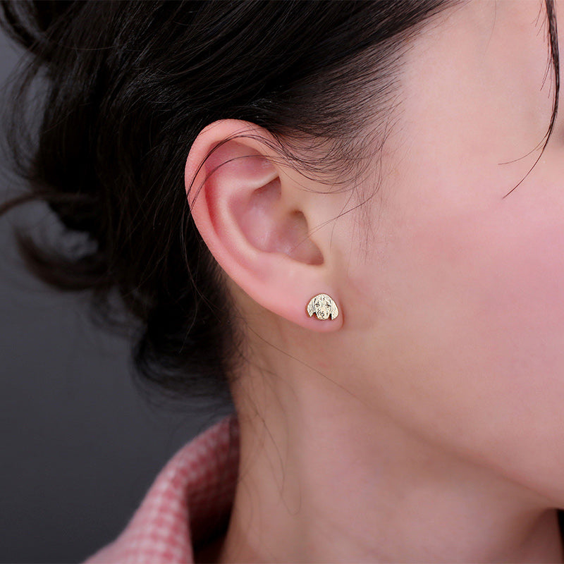 Personalized Pet Photo Stud Earrings in Silver